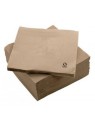 CAJA 2700 SERVILLETA TISSUE 2 CAPAS ECOLÓGICA 33 X 33 CM