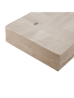 CAJA 2400 SERVILLETAS TISSUE ECOLÓGICA 2 CAPAS 40 X 40 CM