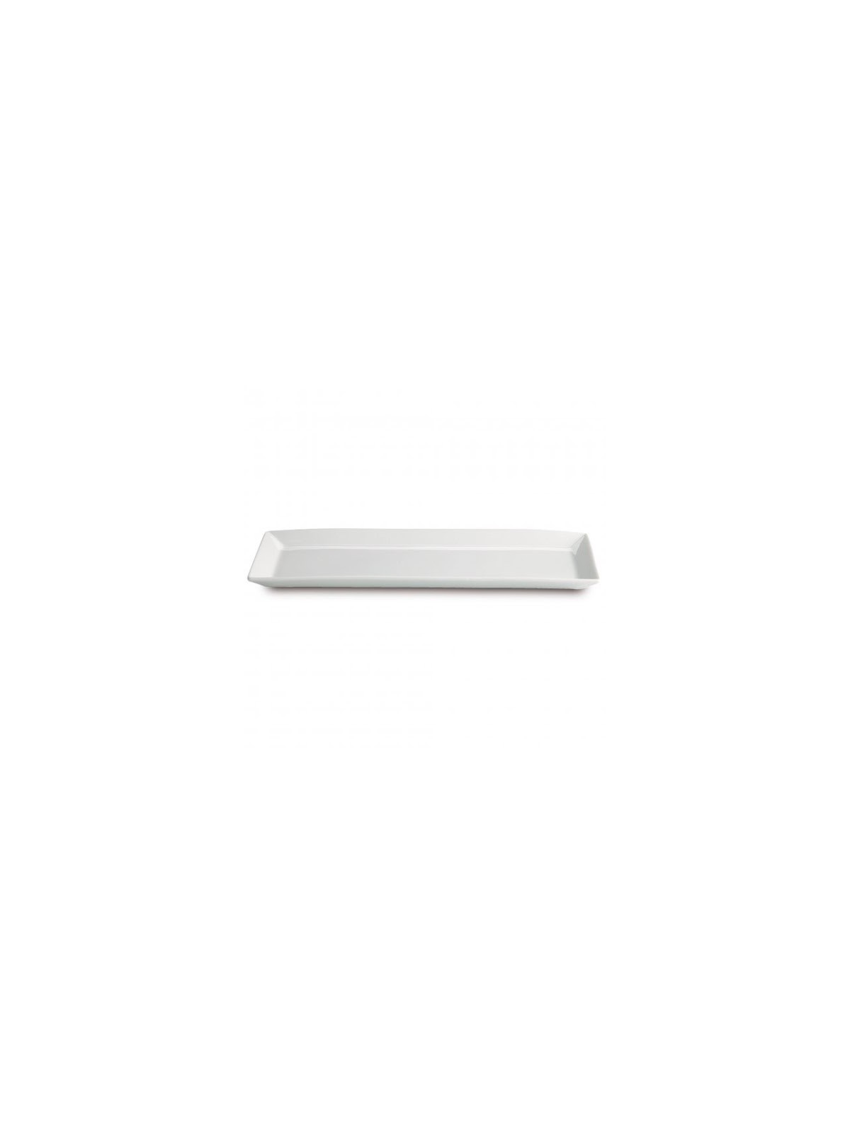 FUENTE B2539 TRAY 30 X 12 CM