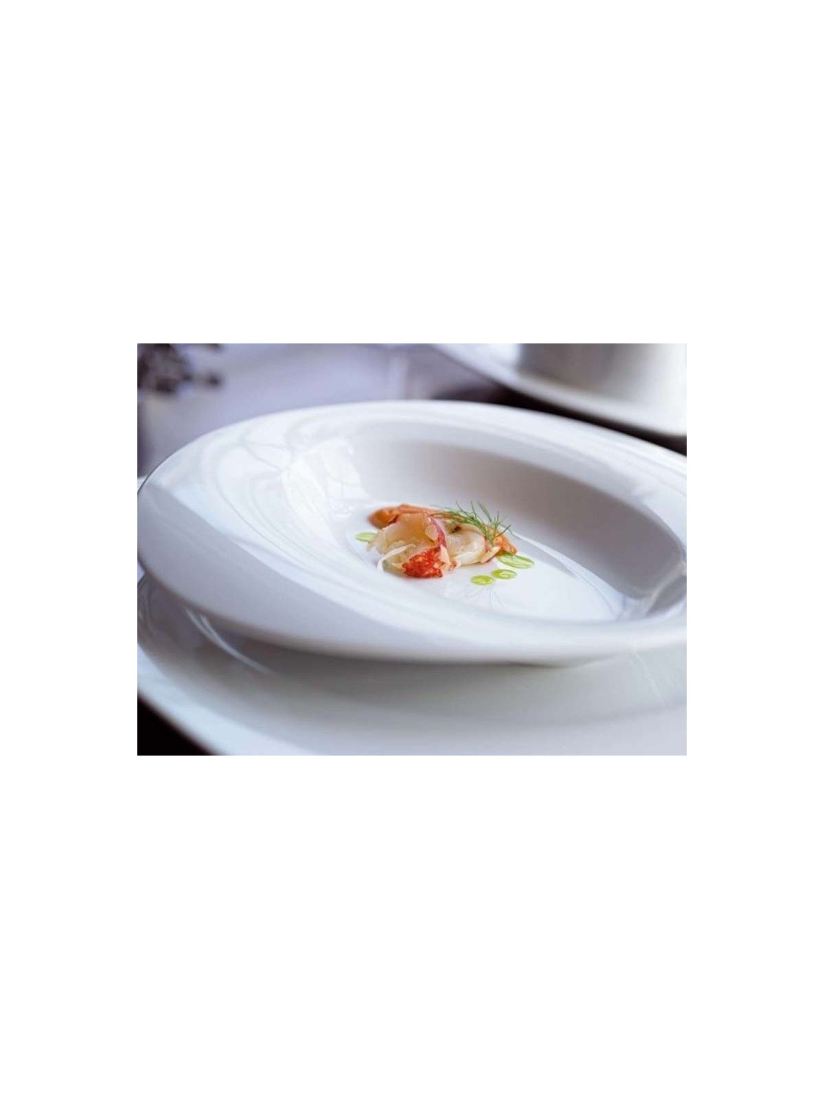 Plato de Diseño Aro 26,6 cm Porvasal - Productos Hosteleros