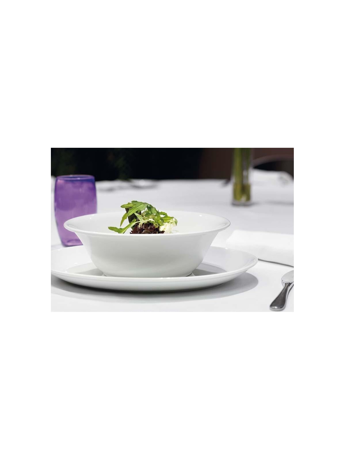 BOWL ALTEA 600 CC BLANCO 17 CM PORVASAL