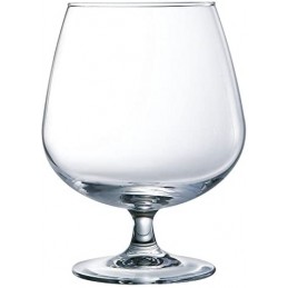 COPA COÑAC VICRILA 76 CL