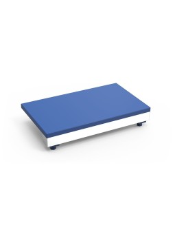 Tajo-expositor de fibra azul para mostrador de pescadería 50x30x9cm