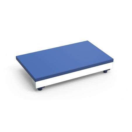 Tajo-expositor de fibra azul para mostrador de pescadería 50x30x9cm