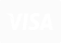 Icono Visa